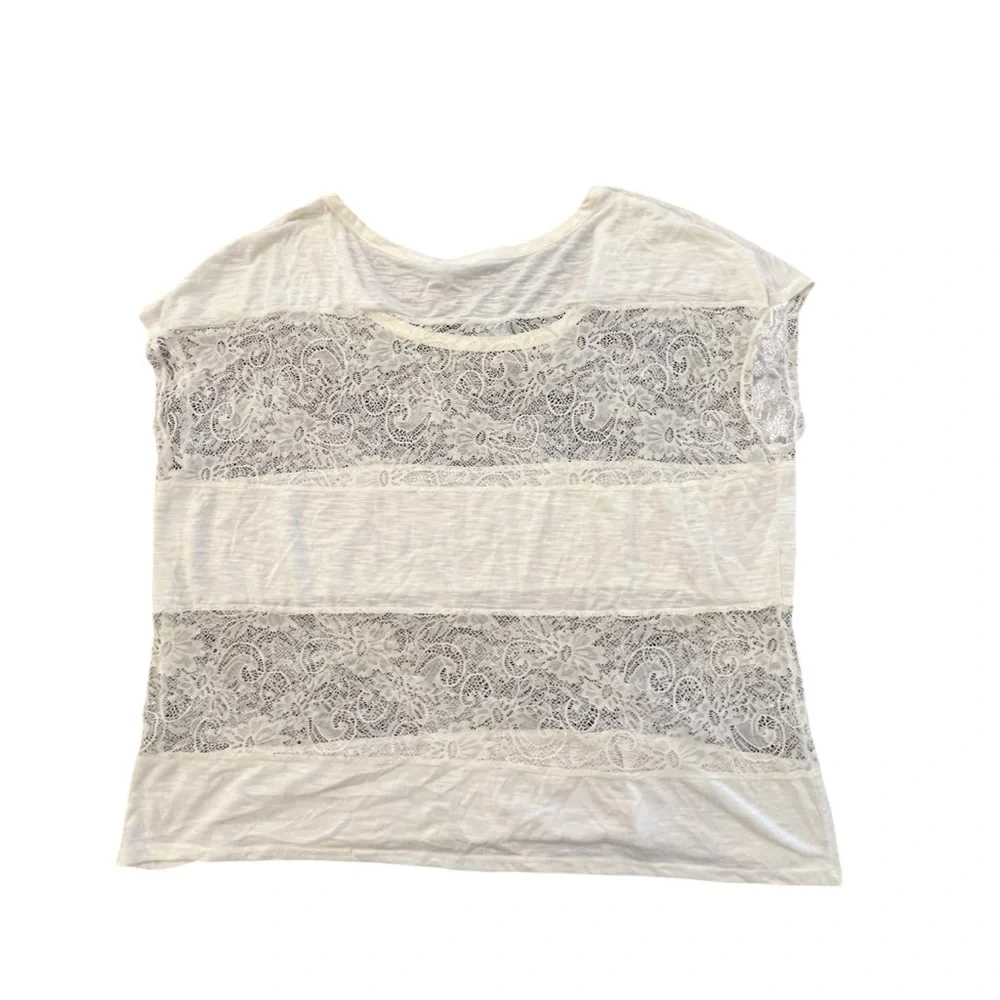 torrid elegant women